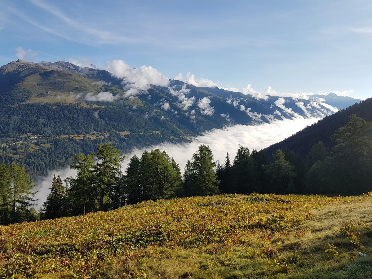 Lodge Chaeserstatt